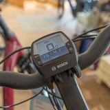 Intuvia Display - Bosch eBike System 2 (BES2)